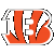 Cincinnati Bengals